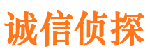 东河市私家侦探